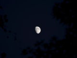 DSC_3580.JPG