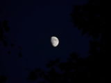 More Moon pics - DSC_3582.JPG