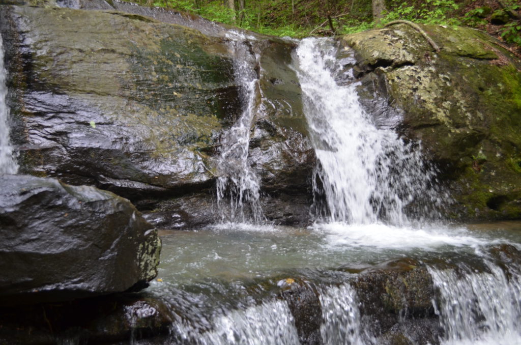 DSC_1425.JPG