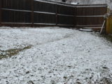DSC_0011.JPG