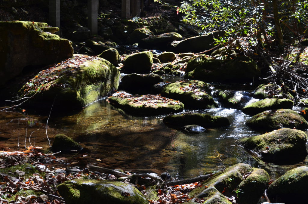 DSC_8605.JPG