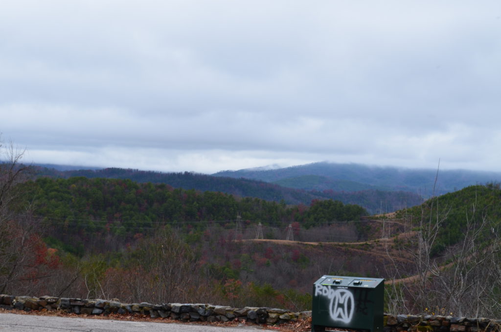 DSC_9164.JPG
