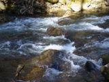DSC_9514.JPG