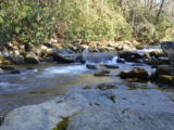 Elkmont Water Pics - DSC_9517.JPG