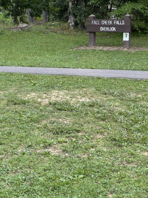 IMG_2434.HEIC