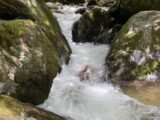 IMG_3289.HEIC