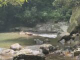 IMG_3292.HEIC