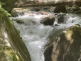 IMG_3293.HEIC