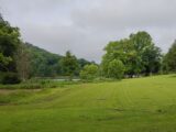 IMG_20260719_094508.jpg