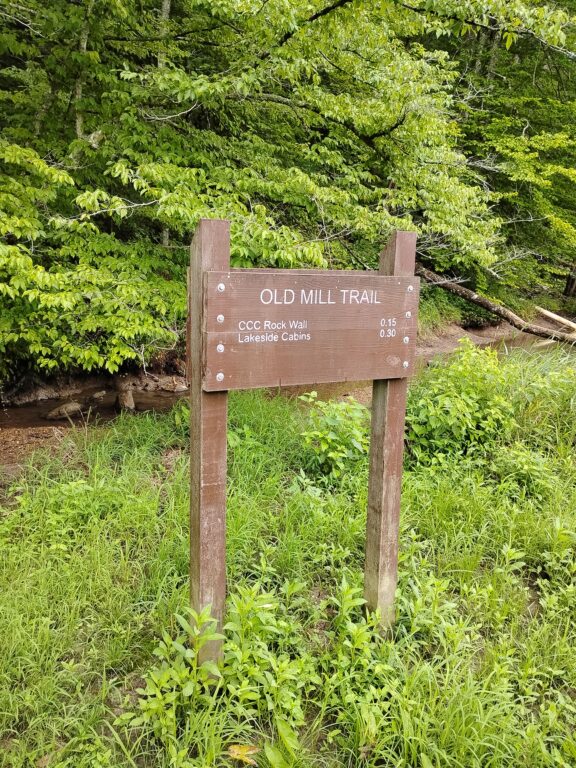 IMG_20260719_095230.jpg