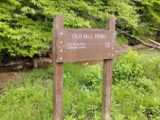 IMG_20260719_095230.jpg