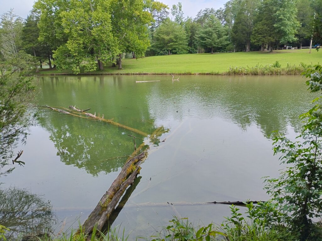 IMG_20260719_095500.jpg