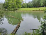 IMG_20260719_095500.jpg
