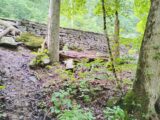 IMG_20260719_095816.jpg