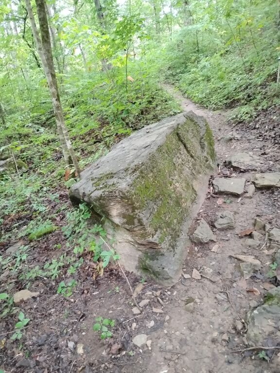 IMG_20260719_095843.jpg