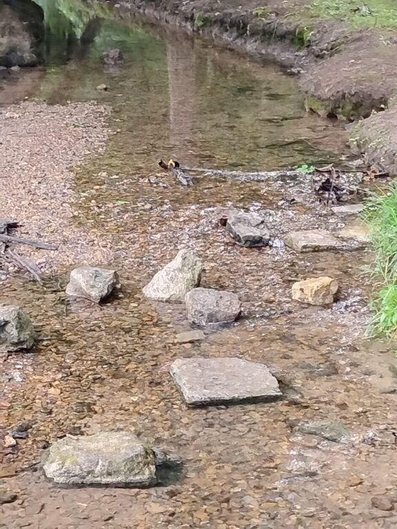 IMG_20260719_101817.jpg