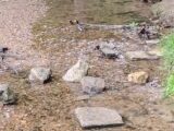 IMG_20260719_101817.jpg