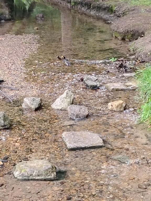 IMG_20260719_101817~2.jpg