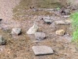 IMG_20260719_101817~2.jpg