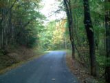 Fall Solo Ride - Fall Road