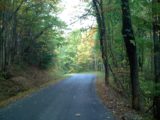 Fall Road