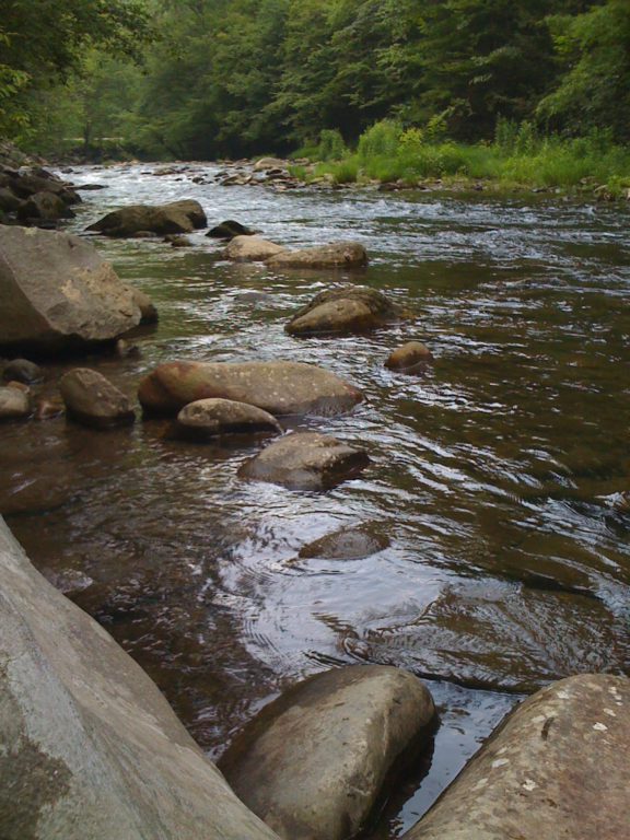 Roadside Stream