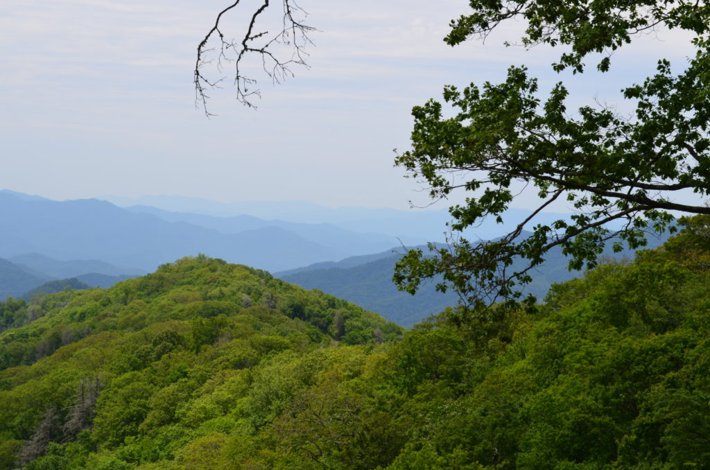DSC_0122.JPG
