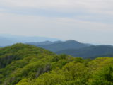 DSC_0134.JPG