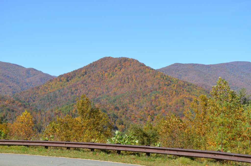 DSC_0474.JPG