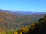 DSC_0489.JPG