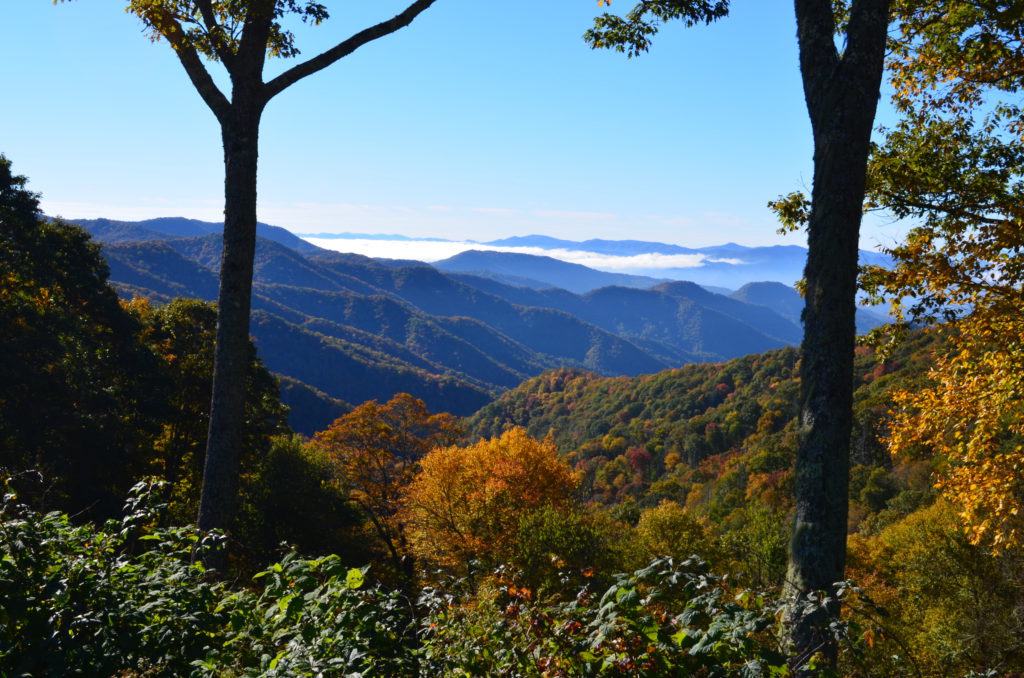 Smoky Mountain Fall