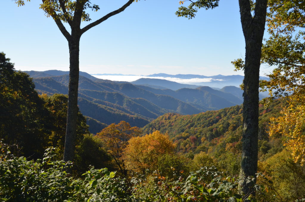 DSC_3725.JPG