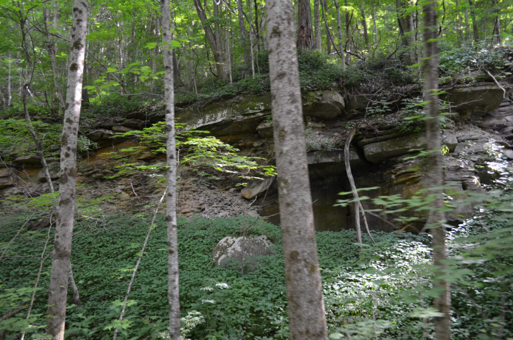 DSC_0510.JPG