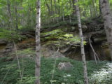 DSC_0511.JPG