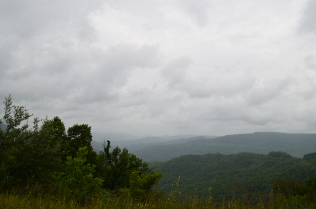 DSC_0601.JPG
