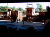 Indiana Jones Show