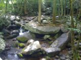 Roaring Fork Motor Nature Trail - IMG_0189.jpg