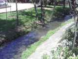 Creek in front of the Jack Daniel's Visitor Center