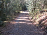 Cades Cove - IMG_5203.JPG