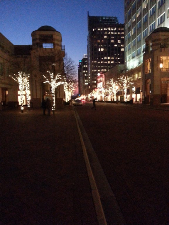 Reston Town Center