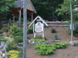 Alana Falls in Helen GA