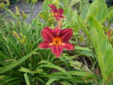 DSC_2124.JPG