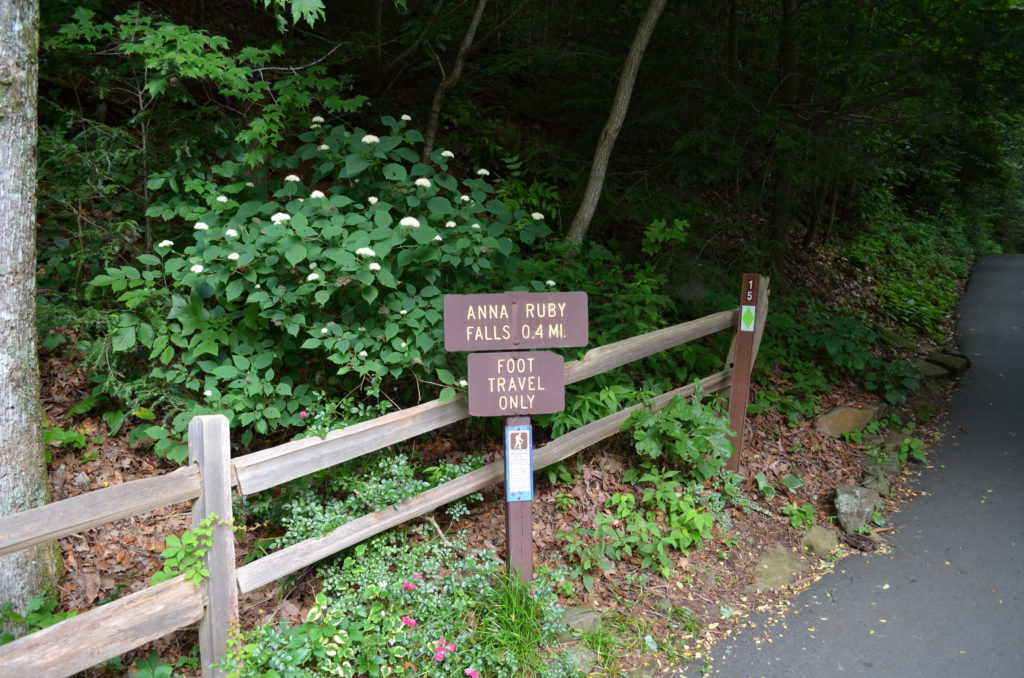 Anna Ruby Falls