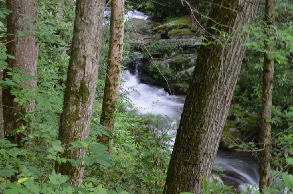 The river along the trail to Anna Ruby Falls