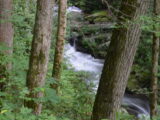 The river along the trail to Anna Ruby Falls