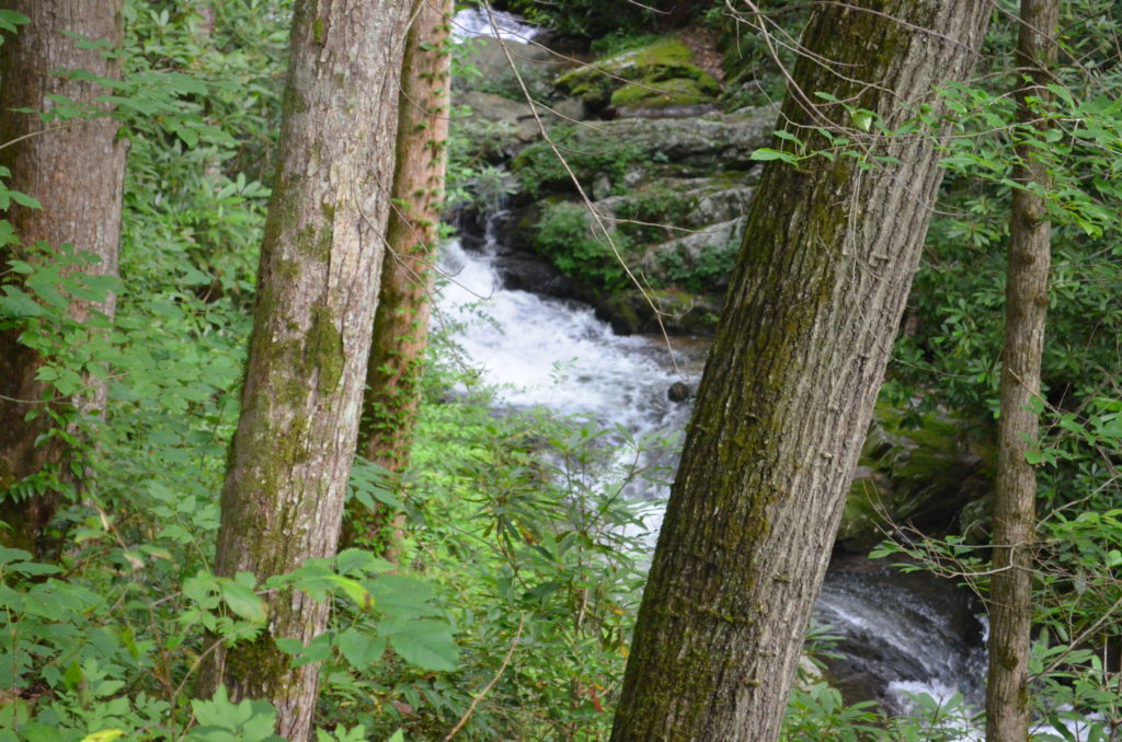 The river along the trail to Anna Ruby Falls