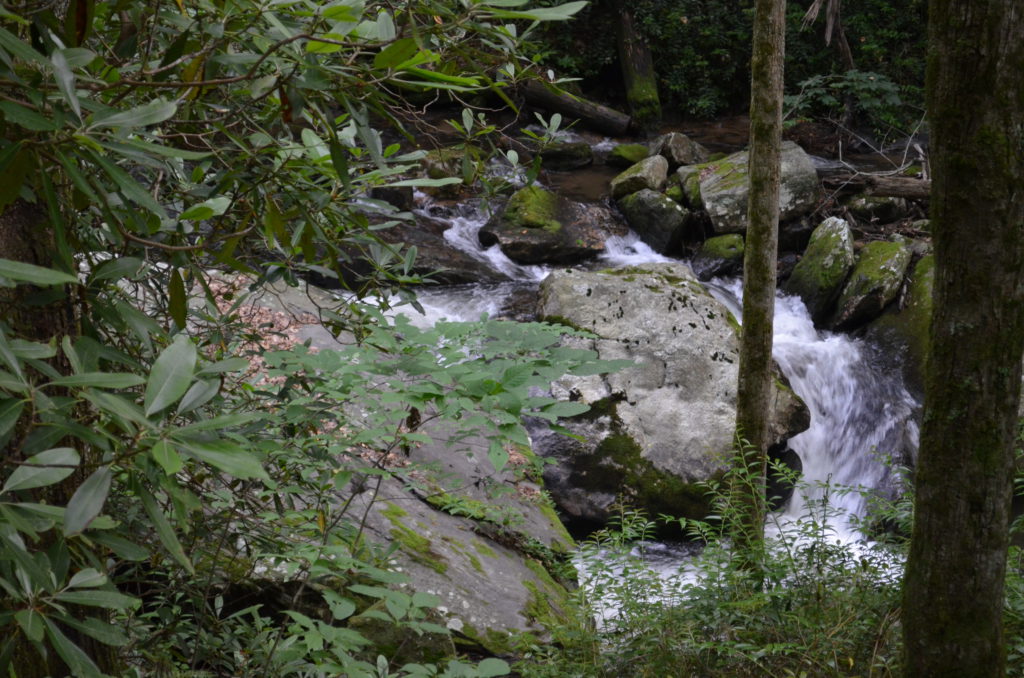 The river along the trail to Anna Ruby Falls