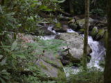 The river along the trail to Anna Ruby Falls