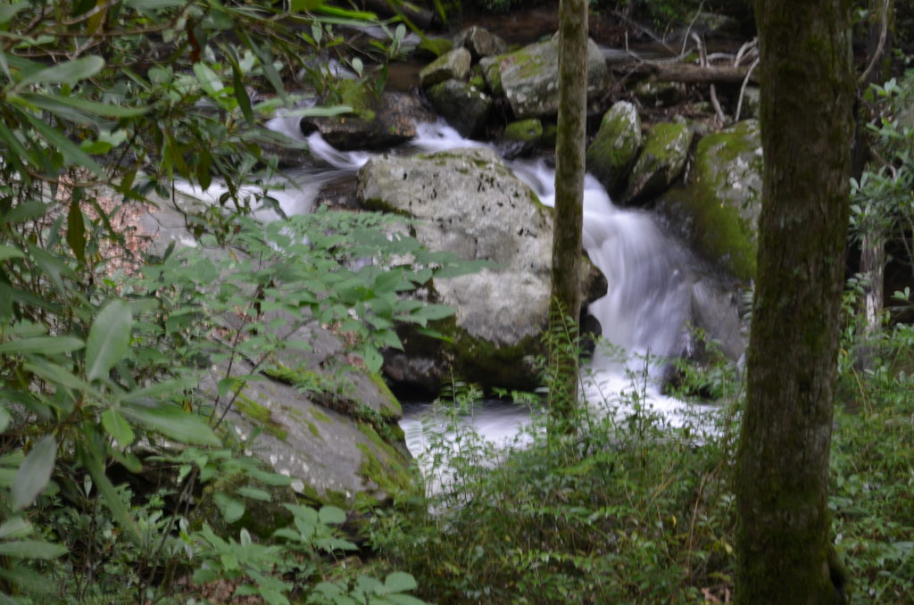 The river along the trail to Anna Ruby Falls