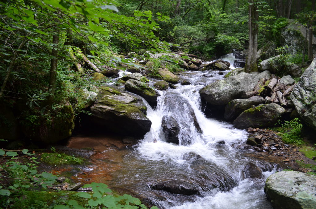 The river along the trail to Anna Ruby Falls